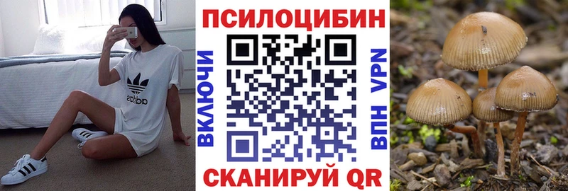 Псилоцибиновые грибы MAGIC MUSHROOMS купить Тында